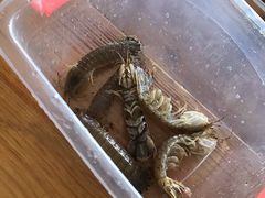 -鼓歌海鲜舫·手抓海鲜(大学城店)