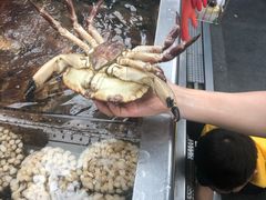 -盒马鲜生(大成店)