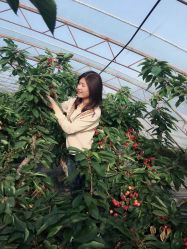 -蓝呗呗蓝莓草莓采摘园(通州区马驹桥店)