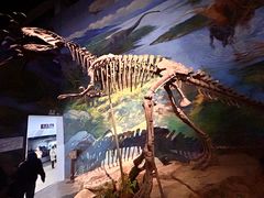 -自贡恐龙博物馆