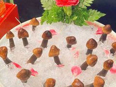 -禄婶鸡煲·打边炉