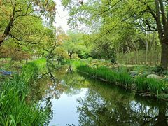 -上海共青森林公园