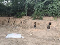 -海堤葡萄园中小学生研学基地