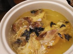 石耳老鸡汤-同庆楼(大钟寺店)