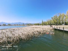 -野鸭湖国家湿地公园