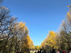-玲珑塔公园