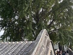 -自如ZSPACE四合院艺术餐厅