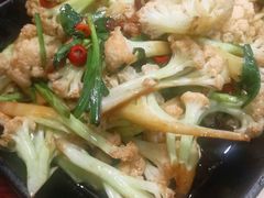 -邵年鸽(杨庄店)