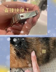 点击看大图 -Nail Me美甲美睫