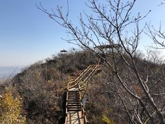 景点-大岭沟猕猴桃谷风景区