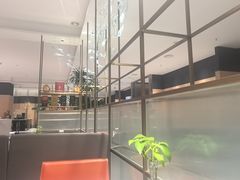 -红鼎豆捞·专注品质海鲜20年(宝丰路店)