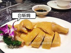 散养鸡-三林本帮馆(中林街店)
