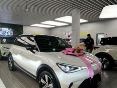 -上海浦东smart汽车全功能店(金桥店)