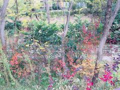 -贮水山儿童公园
