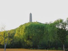 -北坞公园