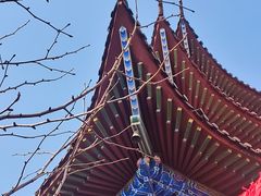 -开福禅寺