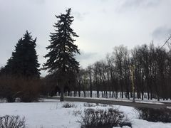 -莫斯科大学