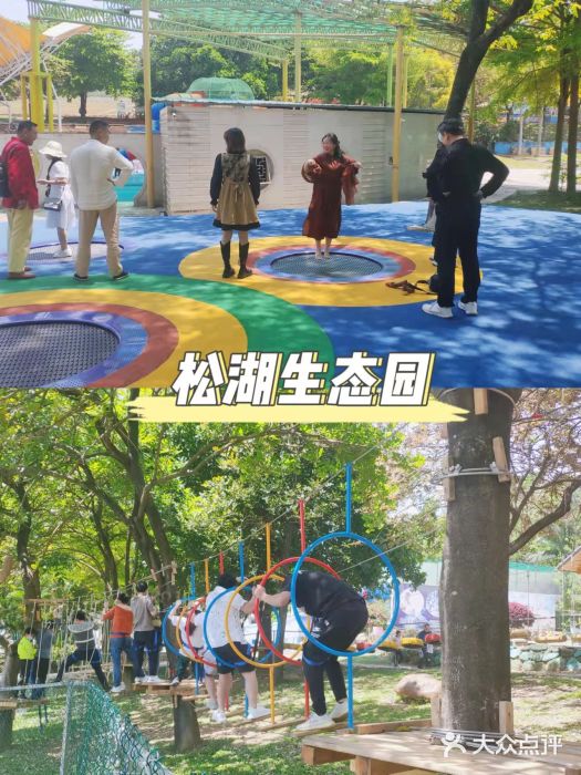 松山湖南湖湾露营营地图片