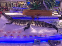 -澜悦港海鲜体验主题餐厅