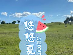 -御道口草原森林风景区