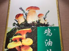 -菌之家·专业纯野生菌火锅·特色炒菌