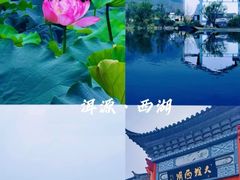 -大理洱源西湖景区