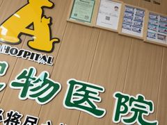 -半岛宠物医院24小时·内窥镜·牙科·碎石中心(府城大道店)