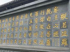 -天龙宝严素食馆(大兴善寺店)