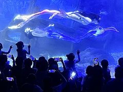 -江和美海洋公园