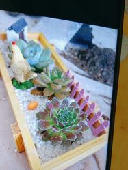 -敦南真爱月子会所(黄埔店)