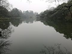 -西湖外事游船(花港观鱼码头)