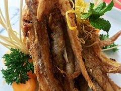 -赵小姐丨新中餐(曲江店)