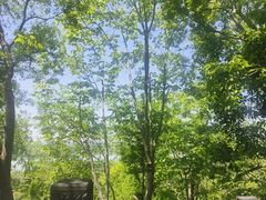 -第一山景区