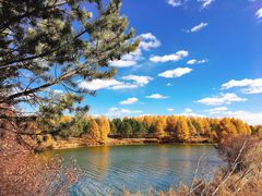 -塞罕坝国家级自然保护区