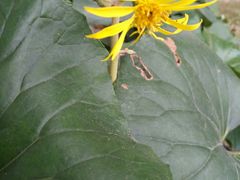 -范蠡湖公园
