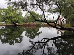 -上海共青森林公园