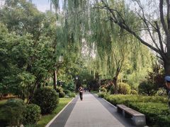 -迎泽公园
