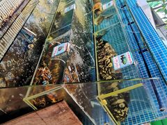 -范饭椰林川湘味海鲜·椰子鸡(三亚湾椰梦长廊店)