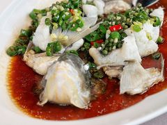 青花椒蒸青衣鱼-遇外滩(BFC外滩金融中心店)