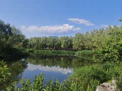 -大兴滨河森林公园