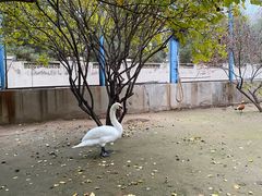 -森林公园(尖草坪区)