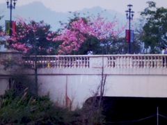 -美的鹭湖探索王国