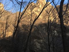 -大岭沟猕猴桃谷风景区