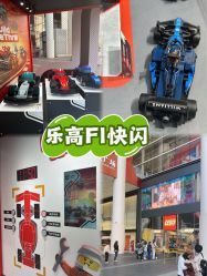 -乐高品牌旗舰店(人民广场店)