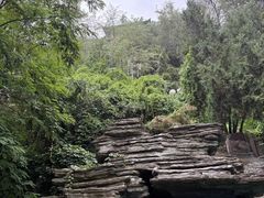 -普陀山风景名胜区-法雨禅寺