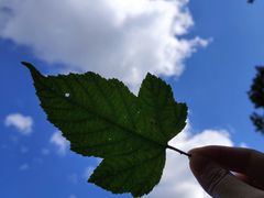 -九鼎铁刹山风景区