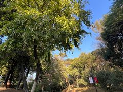 -广州雕塑公园