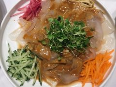 五彩大拉皮-万荣烤鸭店·北京菜(天坛店)