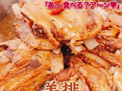 -蝎王府羊蝎子(北大地店)