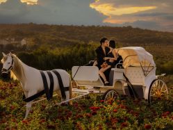 -第一夫人婚纱摄影(南京店)